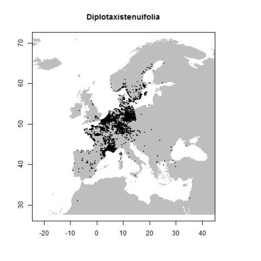 Distribution data GBIF, May 2017. doi:10.15468/dl.kab31a