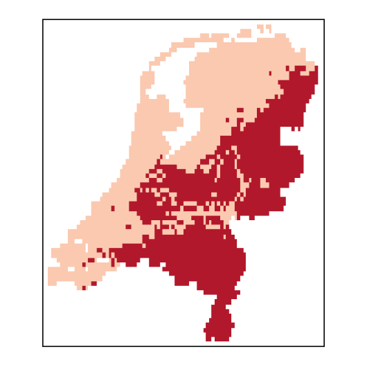 Agrostis gigantea Roth