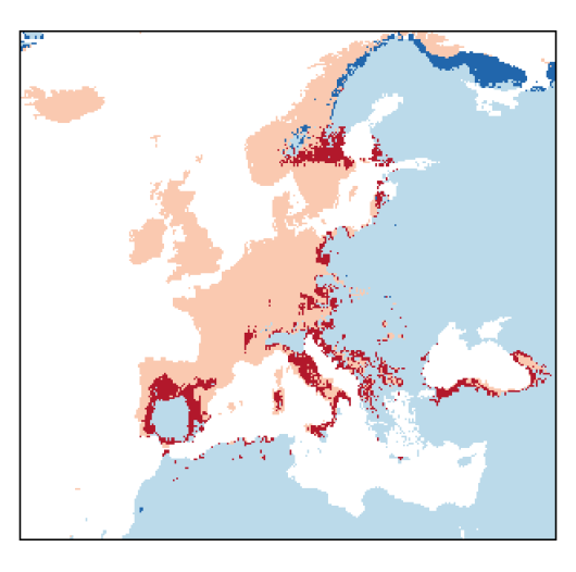 Agrostis stolonifera L.