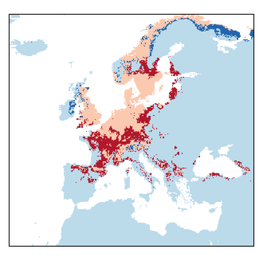 Allium schoenoprasum L.
