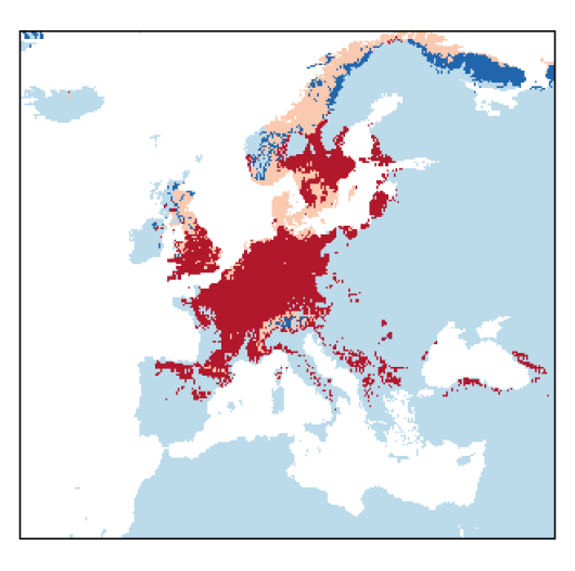 Allium schoenoprasum L.