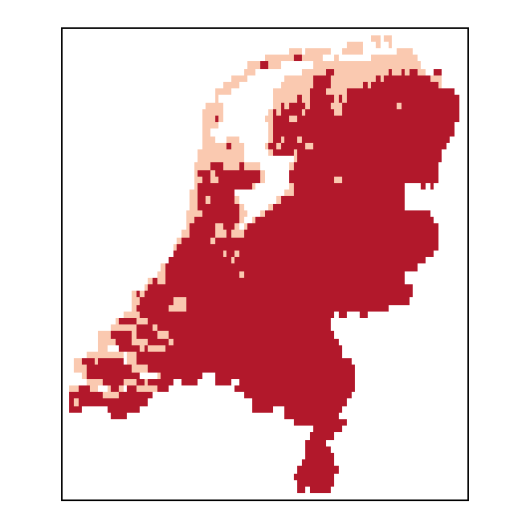 Allium schoenoprasum L.