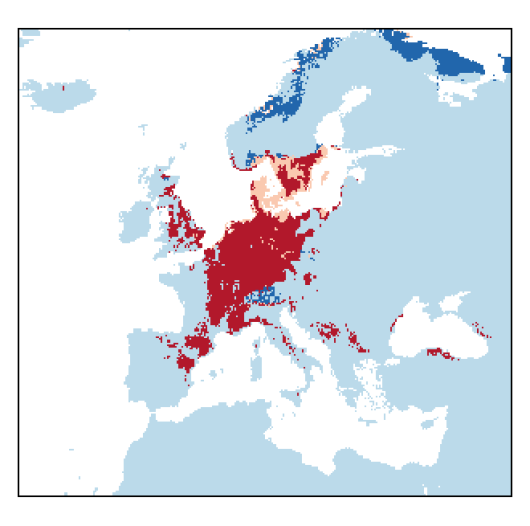 Allium scorodoprasum L.