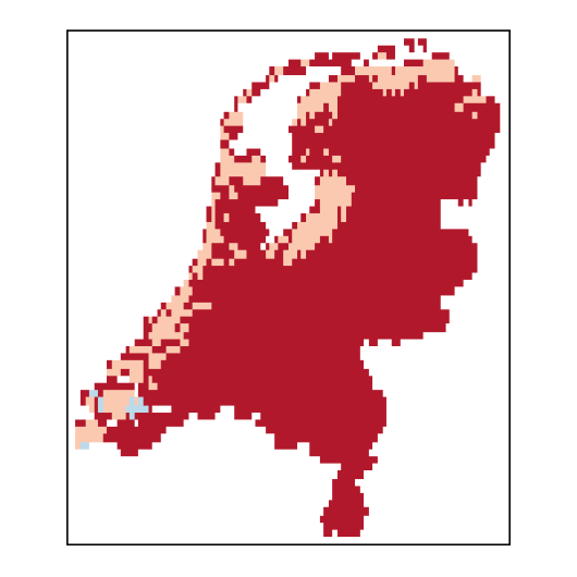 Allium scorodoprasum L.