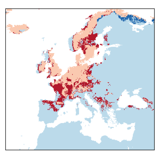 Alopecurus aequalis Sobol.