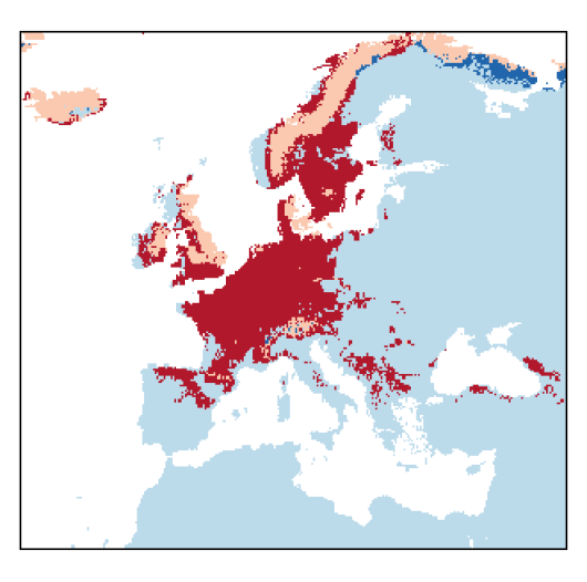 Alopecurus aequalis Sobol.
