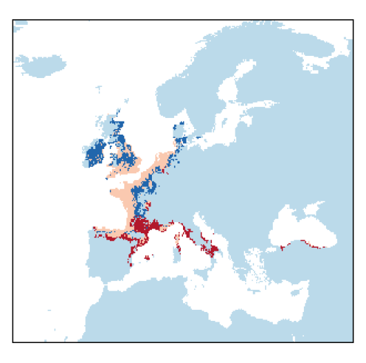 Alopecurus bulbosus Gouan