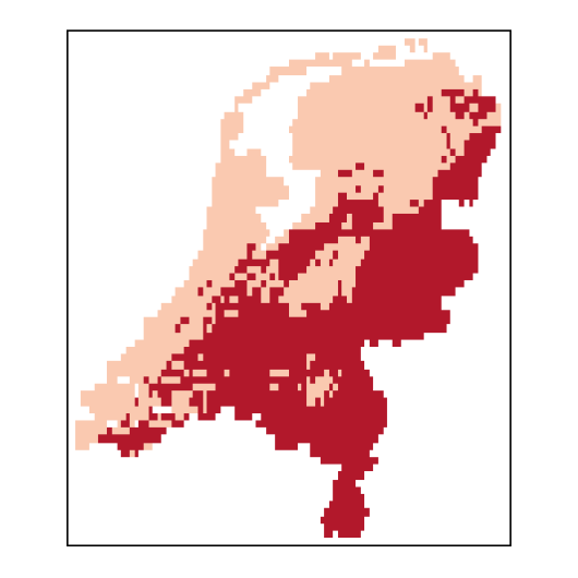 Alopecurus geniculatus L.