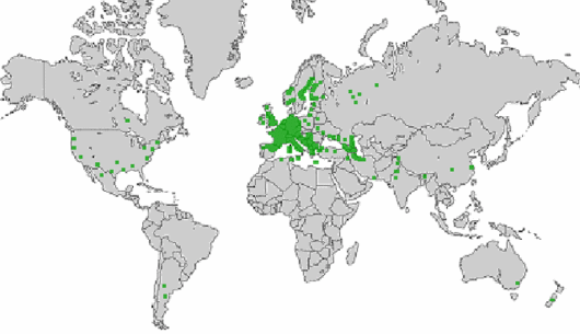Alopecurus myosuroides Huds.