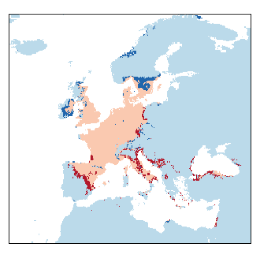 Alopecurus myosuroides Huds.