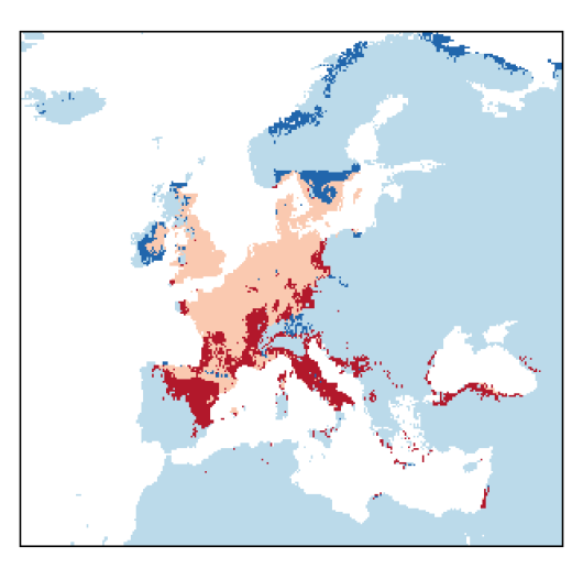 Alopecurus myosuroides Huds.