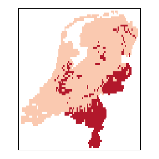 Alopecurus pratensis L.