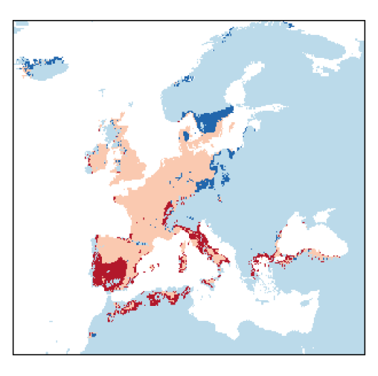Anthriscus caucalis M. Bieb.