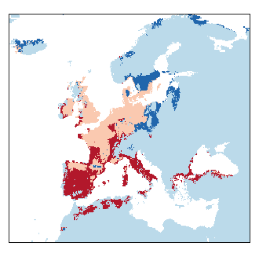 Anthriscus caucalis M. Bieb.