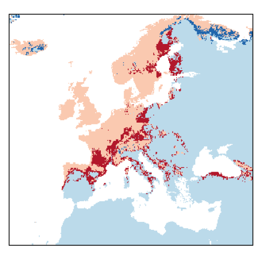 Anthriscus sylvestris (L.) Hoffm.