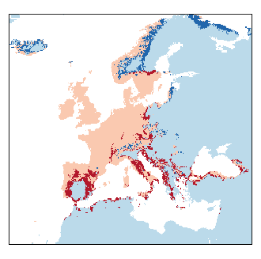 Arabidopsis thaliana (L.) Heynh.