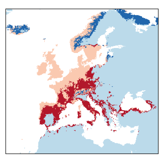 Arabidopsis thaliana (L.) Heynh.