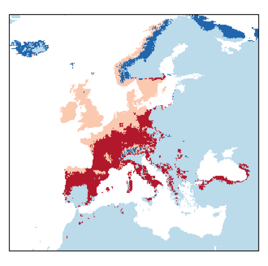 Arrhenatherum elatius (L.) P. Beauv. ex J. Presl & C. Presl