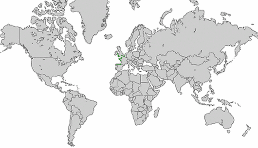 Asparagus officinalis subsp. prostratus (Dumortier) Corbiere