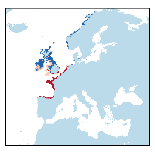 Asparagus officinalis subsp. prostratus (Dumortier) Corbiere