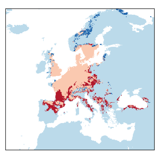 Astragalus glycyphyllos L.
