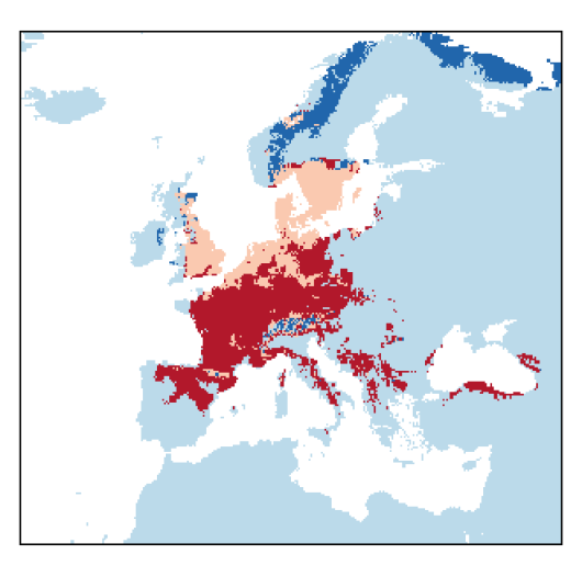 Astragalus glycyphyllos L.