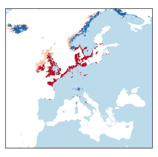 Atriplex glabriuscula Edmondston