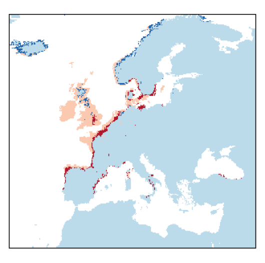 Atriplex laciniata L.