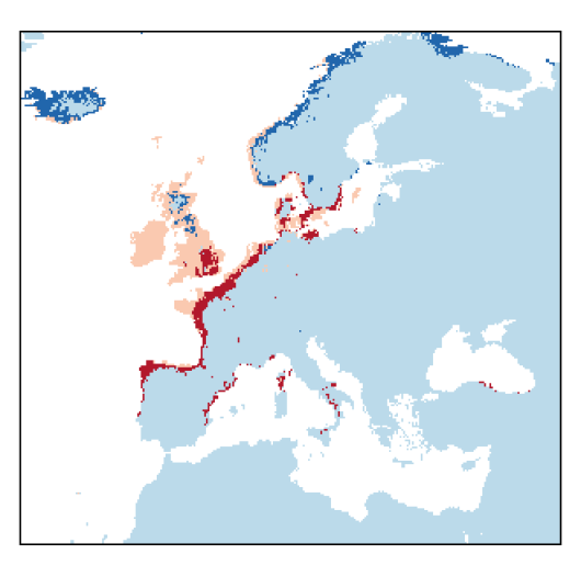 Atriplex laciniata L.