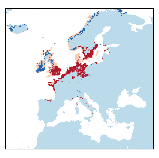 Atriplex littoralis L.