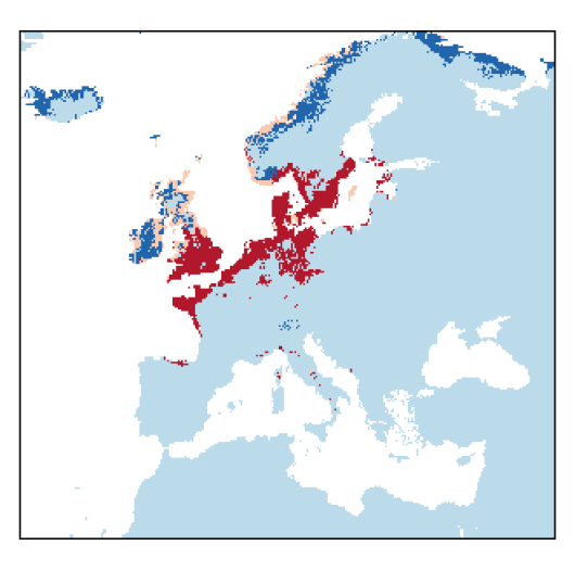 Atriplex littoralis L.