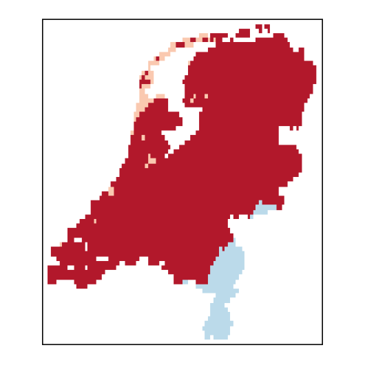 Atriplex littoralis L.