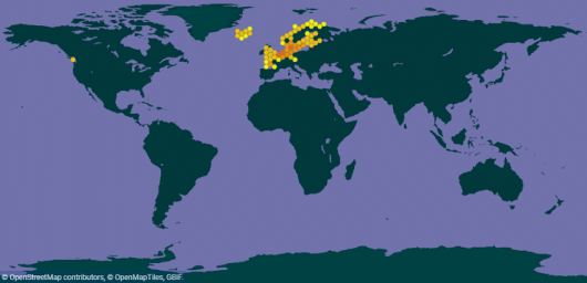 Atriplex longipes Drejer