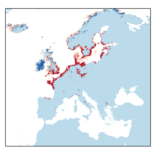 Atriplex longipes Drejer