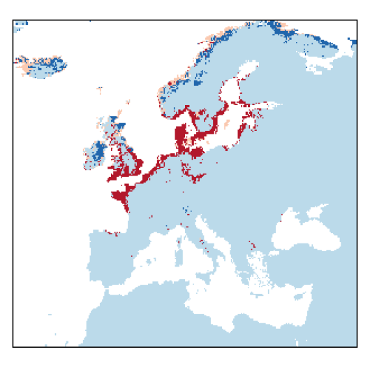 Atriplex longipes Drejer