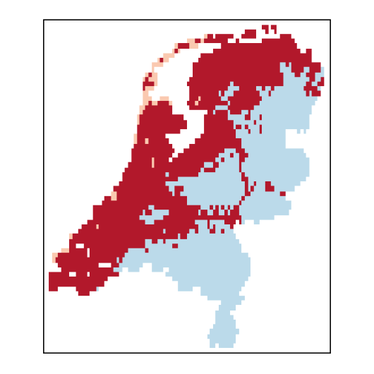 Atriplex longipes Drejer