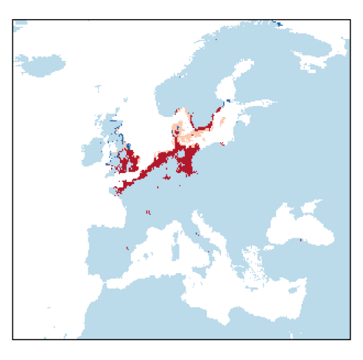 Atriplex pedunculata L.