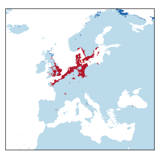 Atriplex pedunculata L.