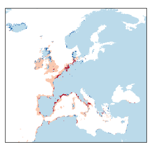 Atriplex portulacoides L.