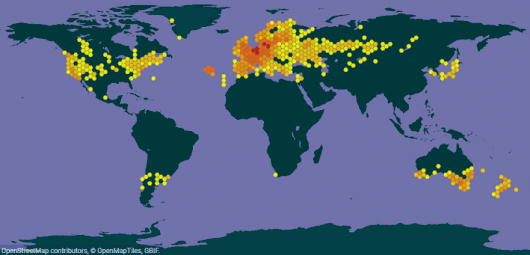 Atriplex prostrata DC.