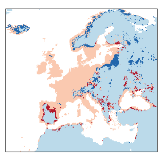 Atriplex prostrata DC.