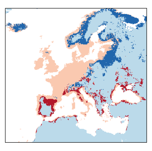 Atriplex prostrata DC.