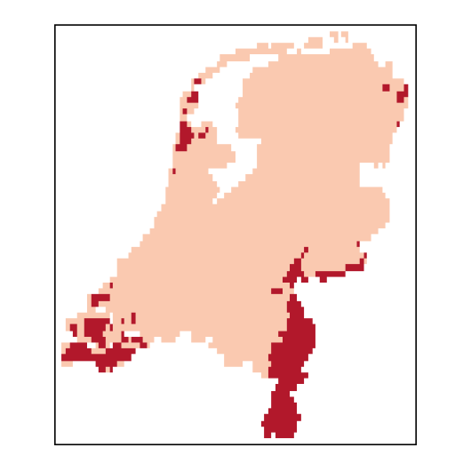 Barbarea intermedia Boreau
