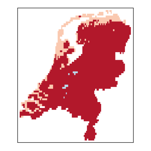 Barbarea stricta Andrz.