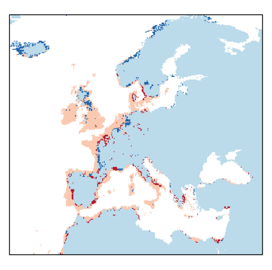 Beta vulgaris subsp. maritima (L.) Arcangeli