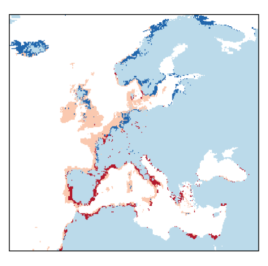 Beta vulgaris subsp. maritima (L.) Arcangeli
