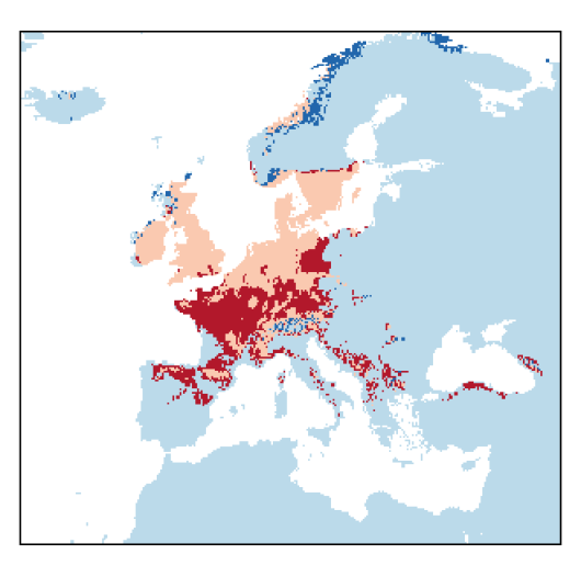 Blitum bonus-henricus (L.) Rchb.