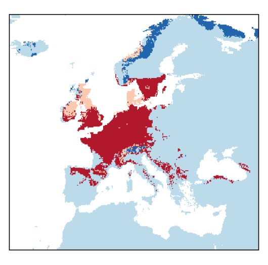Blitum bonus-henricus (L.) Rchb.