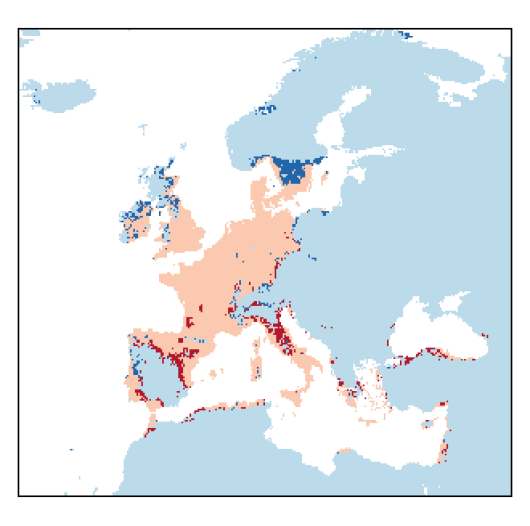 Brassica nigra (L.) W.D.J. Koch