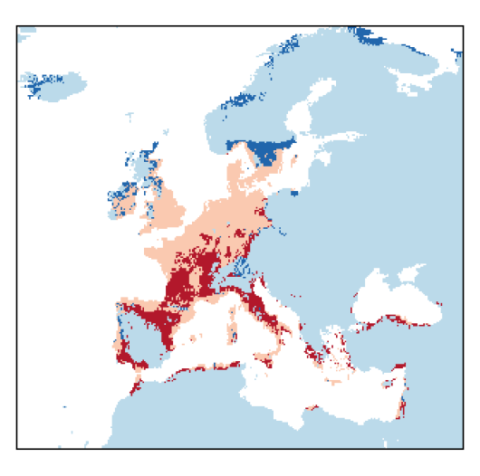 Brassica nigra (L.) W.D.J. Koch